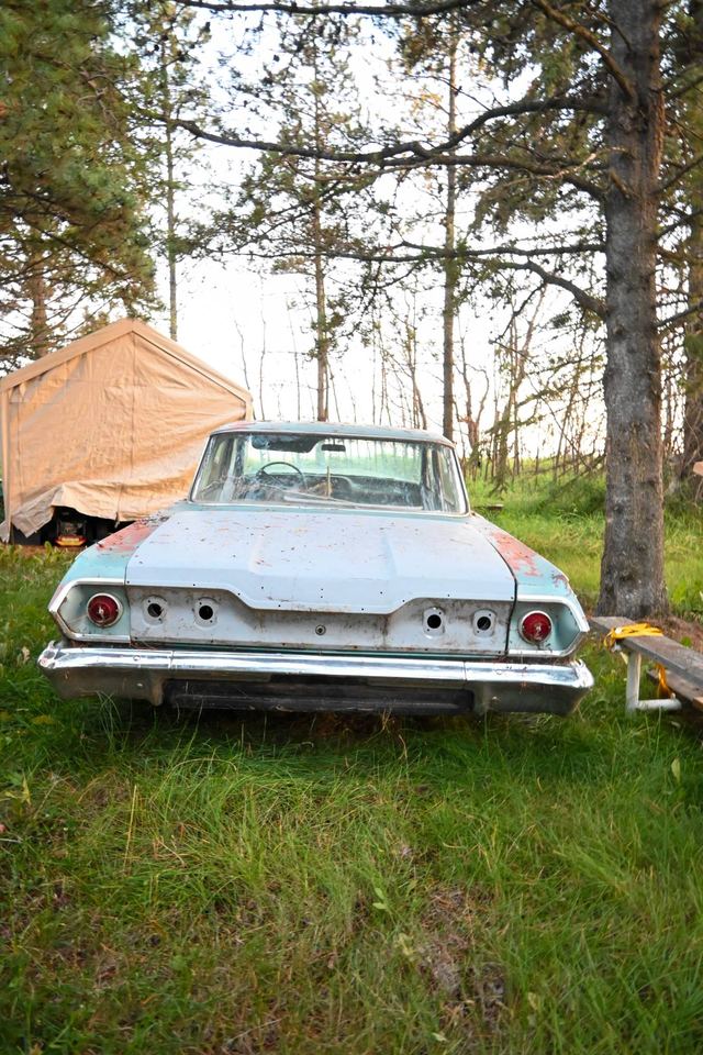 Rear view of a weathered classic Chevrolet project car parked among trees